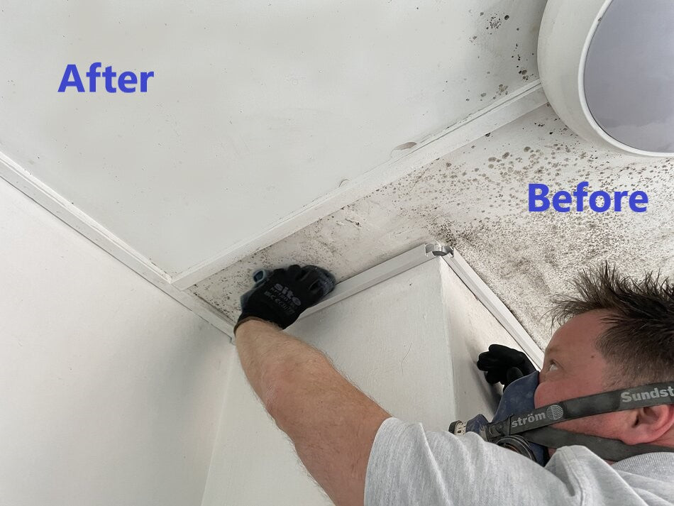 Before and after mould removal on ceiling