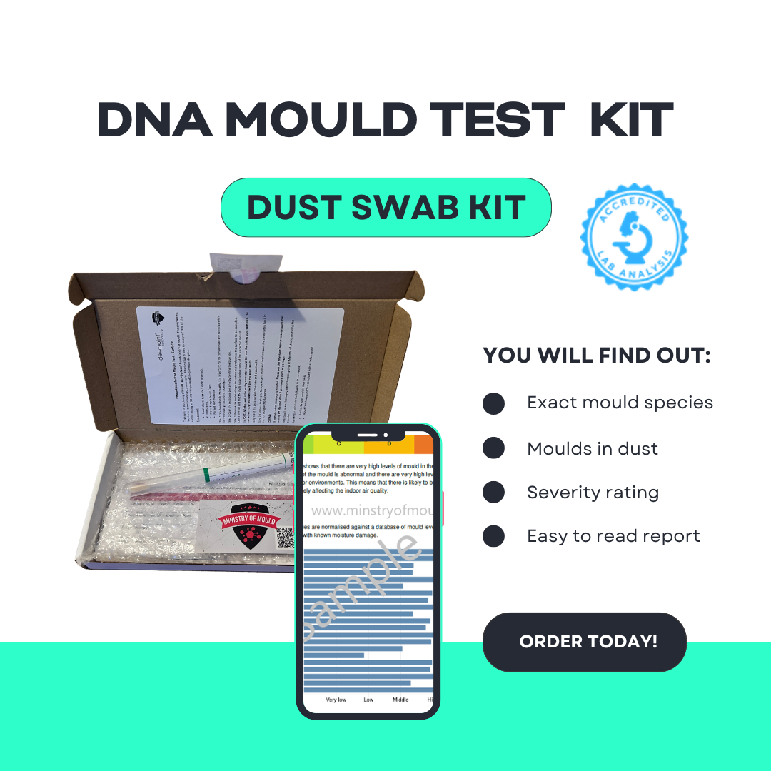 DNA Mould Test - Dust Test Swab