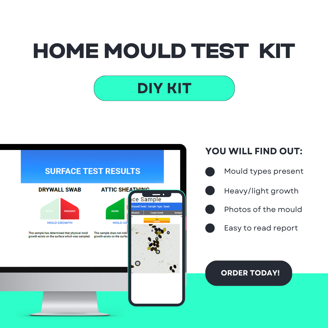 Home Mould Test Kit