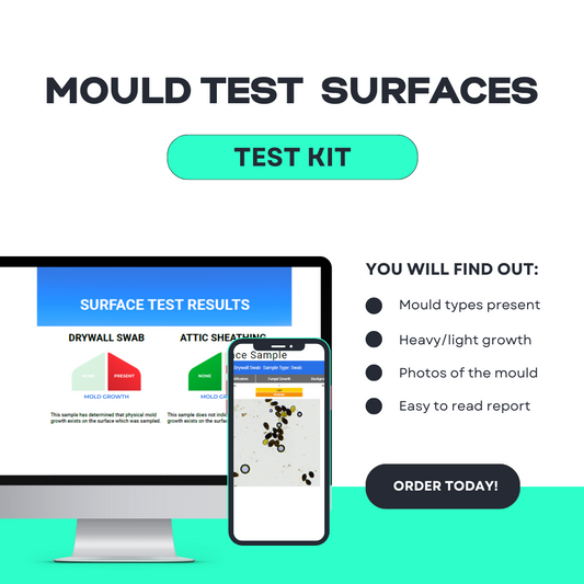 Mould Test - Surfaces