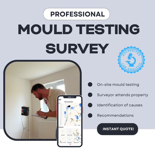 Professional Mould Testing