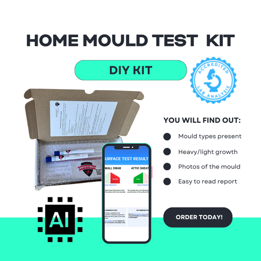 Home Mould Test Kit