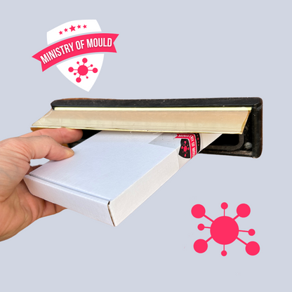 DNA Mould Test - Dust Test Swab