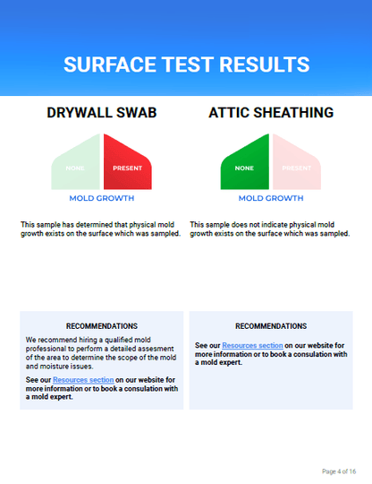 Home Mould Test Kit