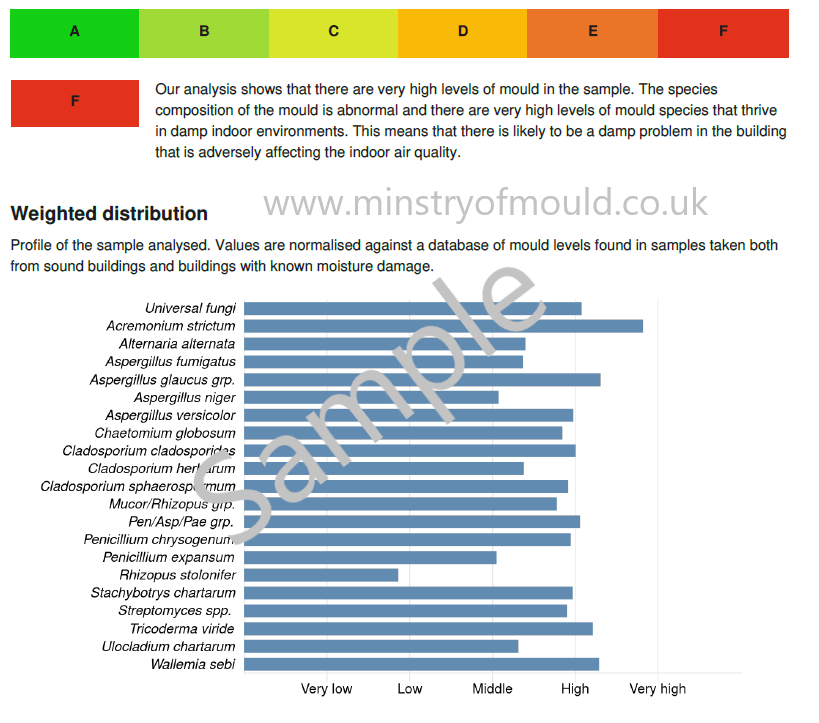 Mould Test - DNA Test Swab